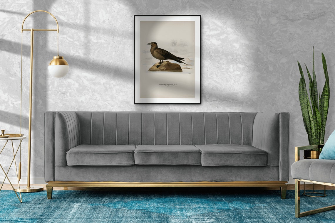 Arctic Skua Seabird Vintage Ornithology Illustration Archival Poster - Image 2