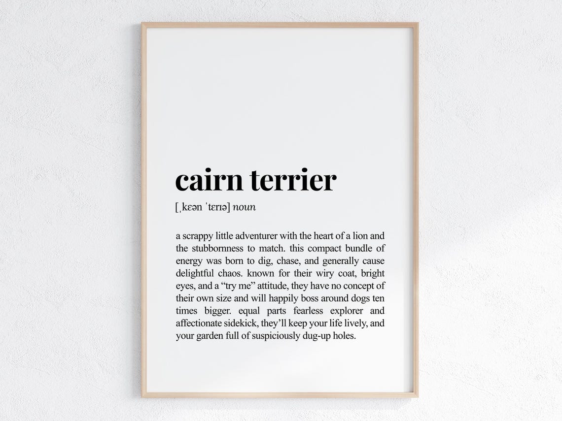 Cairn Terrier Funny Definition Print Cheeky Gift For Dog Parent Lover Art Humorous Dictionary Poster