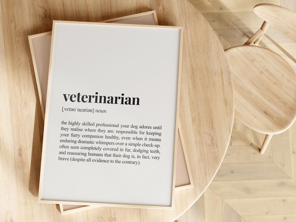 Veterinarian Dictionary Definition Poster Funny Vet Appreciation Gift - Image 2