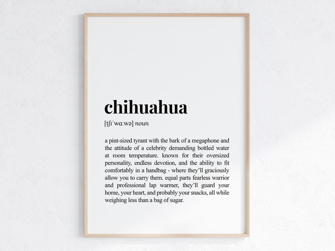 Chihuahua Funny Dictionary Definition Cheeky Dog Gift Poster