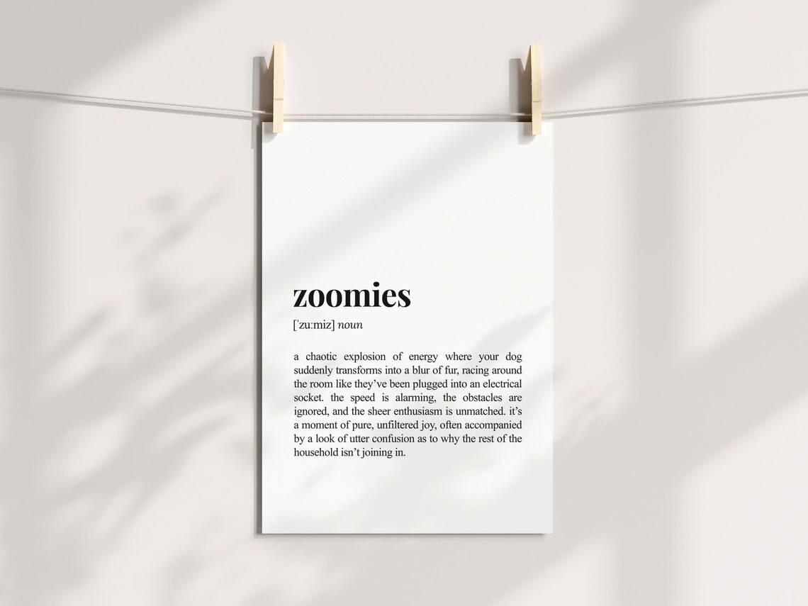Zoomies Definition Funny Dog Parent Art Print - Image 3