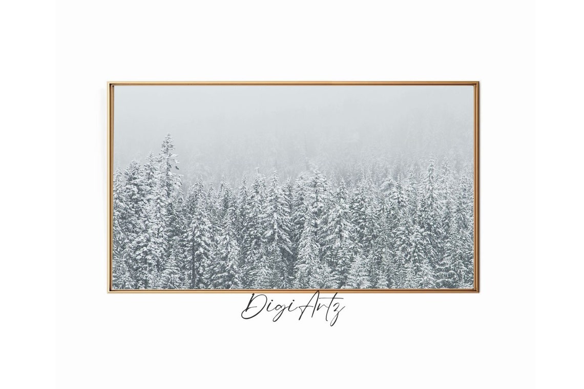 Mist And Snow In A Silent Winter Pine Forest Moody Landscape Poster