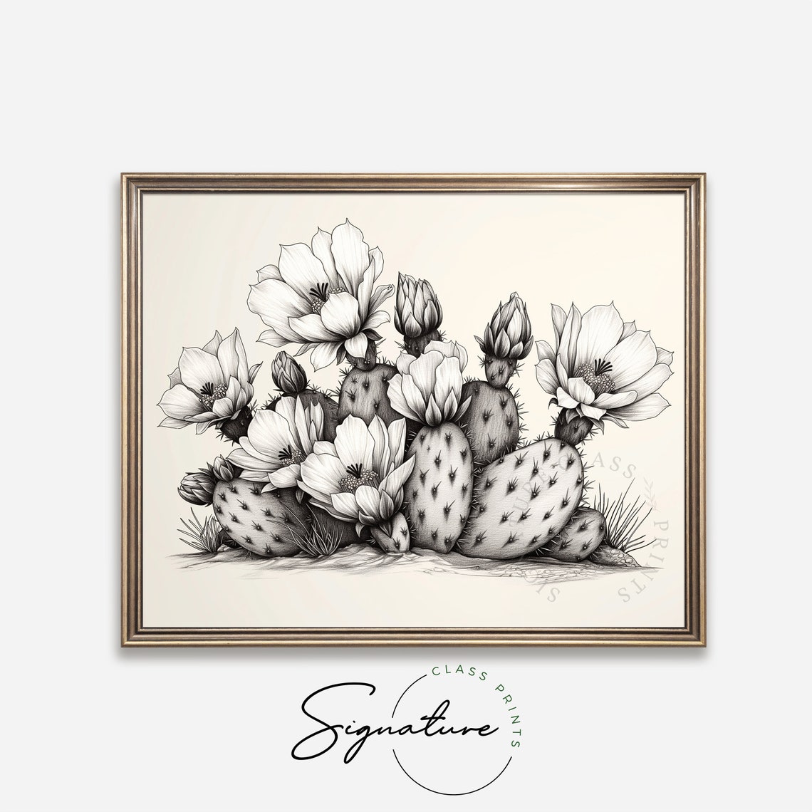 Prickly Pear Cactus In Bloom Desert Botanical Sketch Art Poster - Image 4