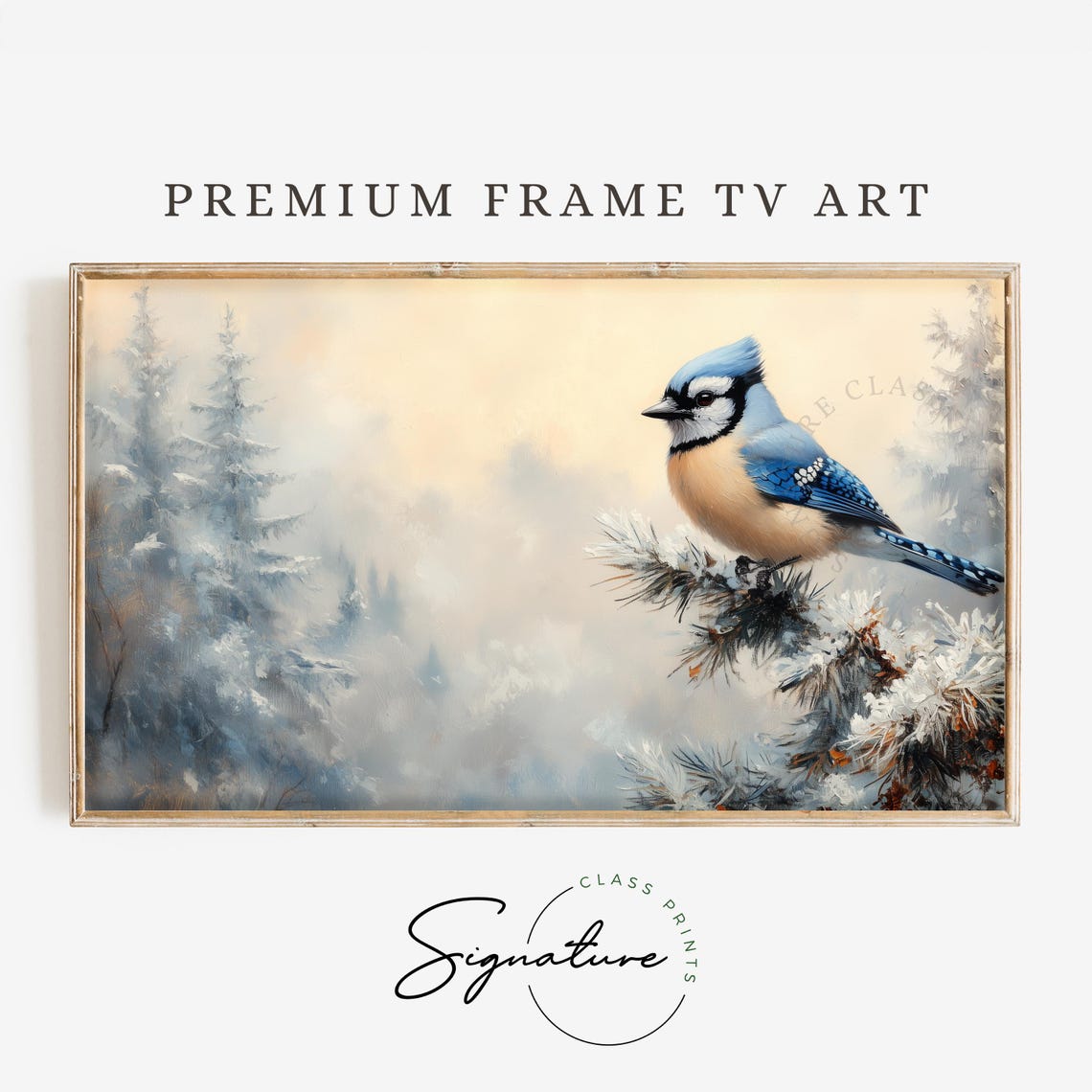Blue Jay Perched On A Snowy Pine Branch In Soft Winter Light Poster