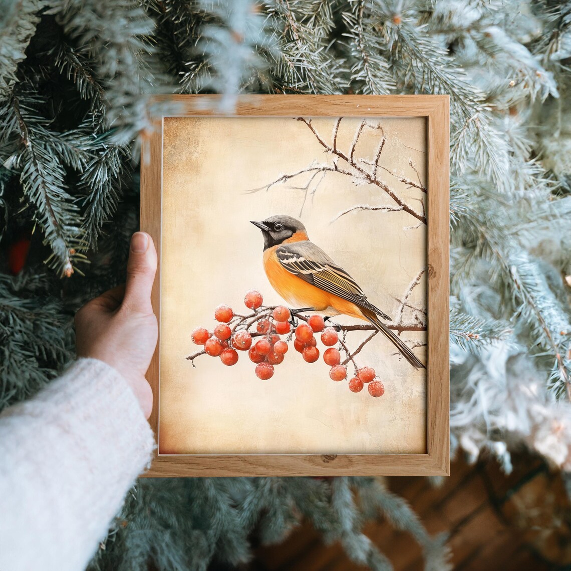 Orange Breasted Songbird on Frosted Red Berry Branch Winter Poster - Image 6