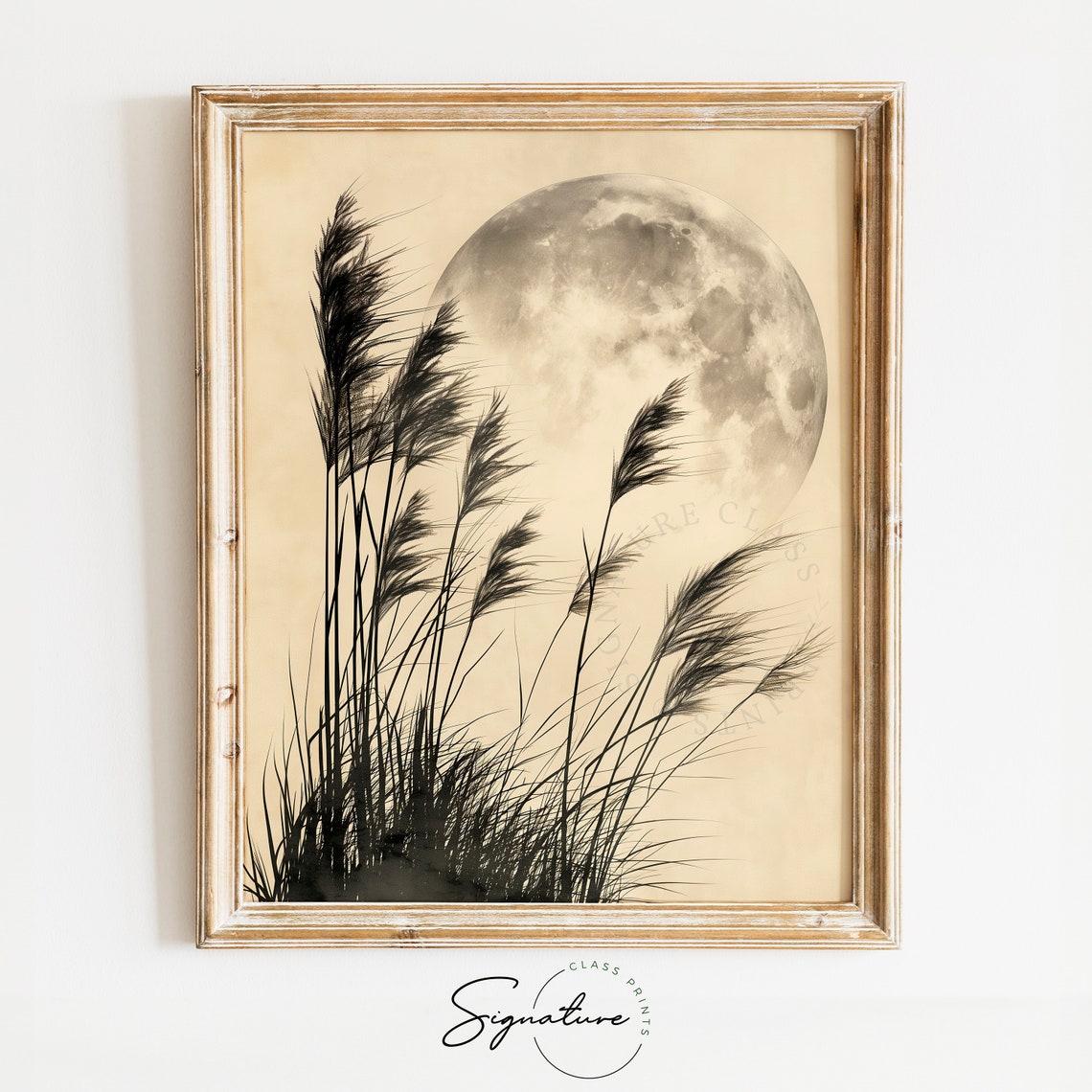 Tall Grass Silhouettes Against Full Moon Monochrome Night Poster