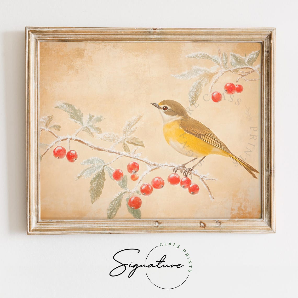 Yellow Breasted Chat Beside Frosted Red Berries Rustic Poster