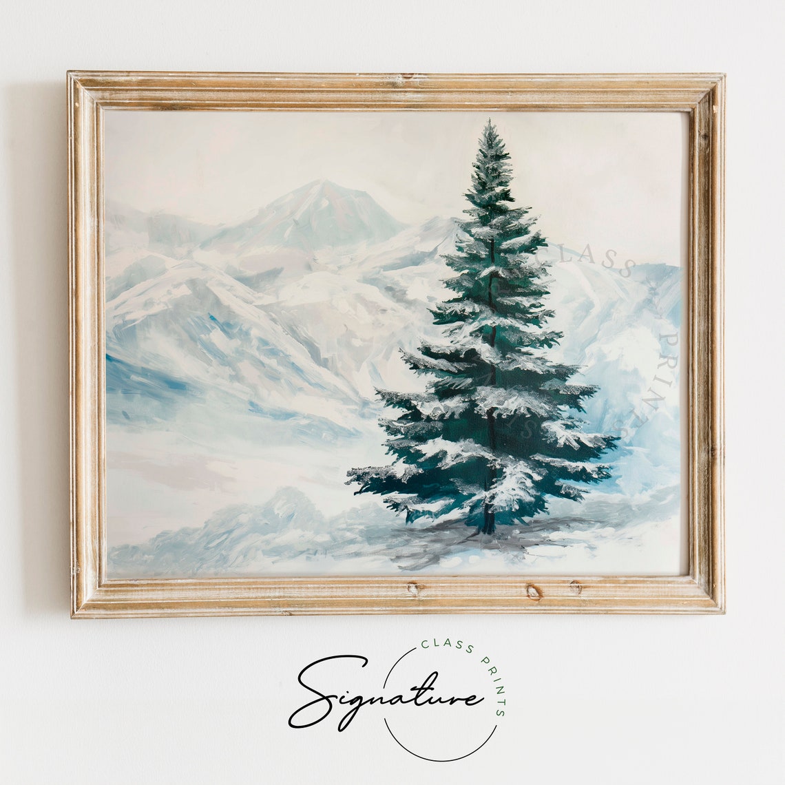 Lone Snow Dusted Spruce Tree Before Alpine Peaks Winter Poster
