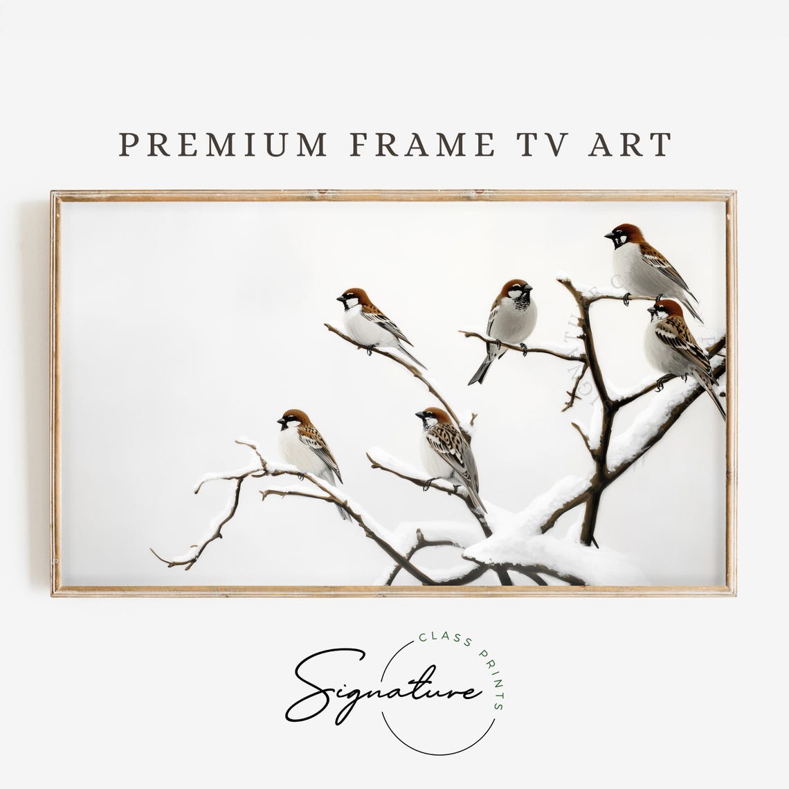 Peaceful Five Sparrows On Snowy Branches Winter Frame TV Art Poster