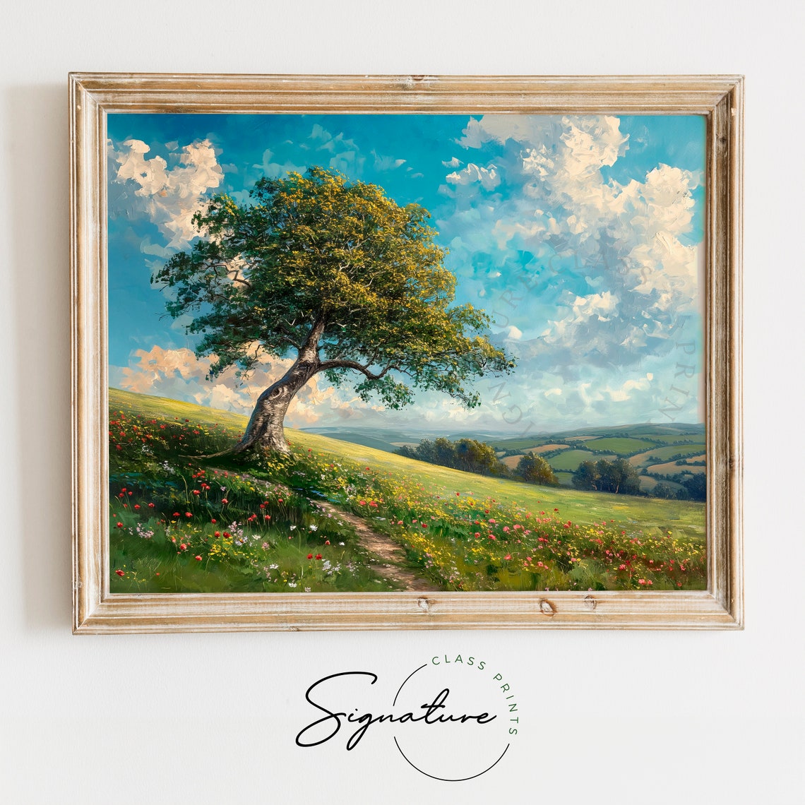 Windswept Beech Tree On Rolling Flower Meadow Hillside Poster