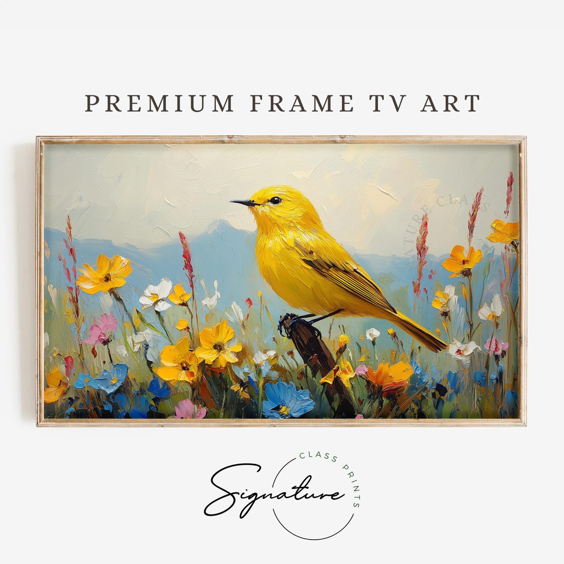 Yellow Warbler In Spring Wildflower Meadow Frame TV Bird Art Print