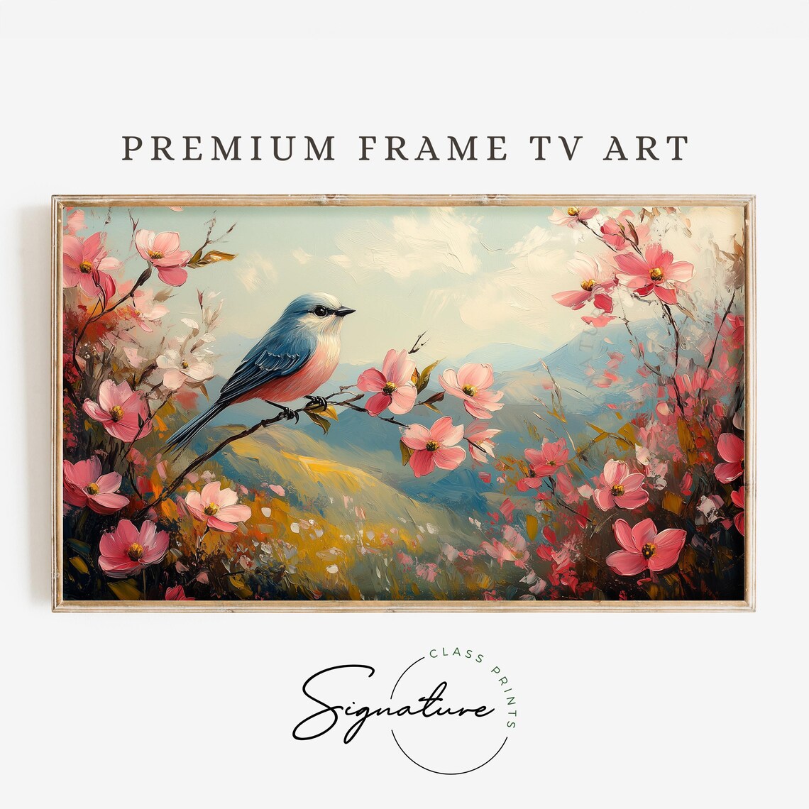Bluebird On Pink Cherry Blossom Branch Above Golden Hills Poster