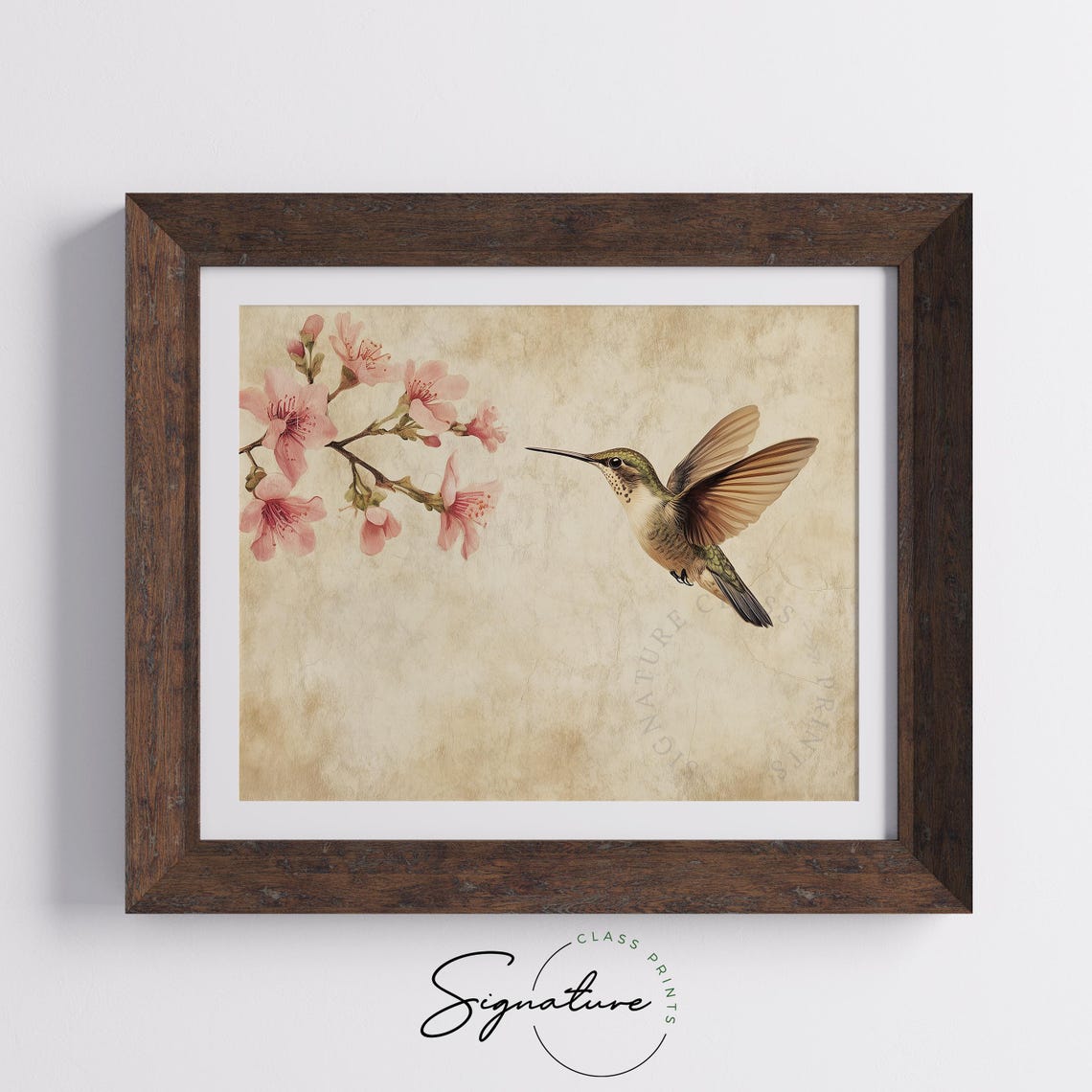 Hummingbird Near Pink Cherry Blossoms Vintage Parchment Poster - Image 3