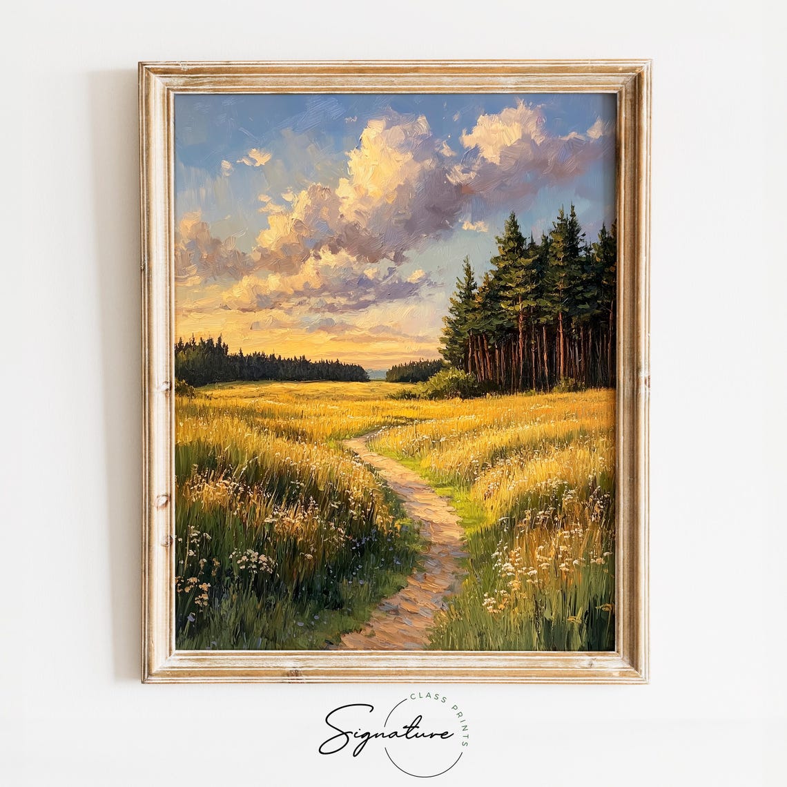 Broad Meadow Path With Golden Evening Glow Pine Forest Sunset Poster