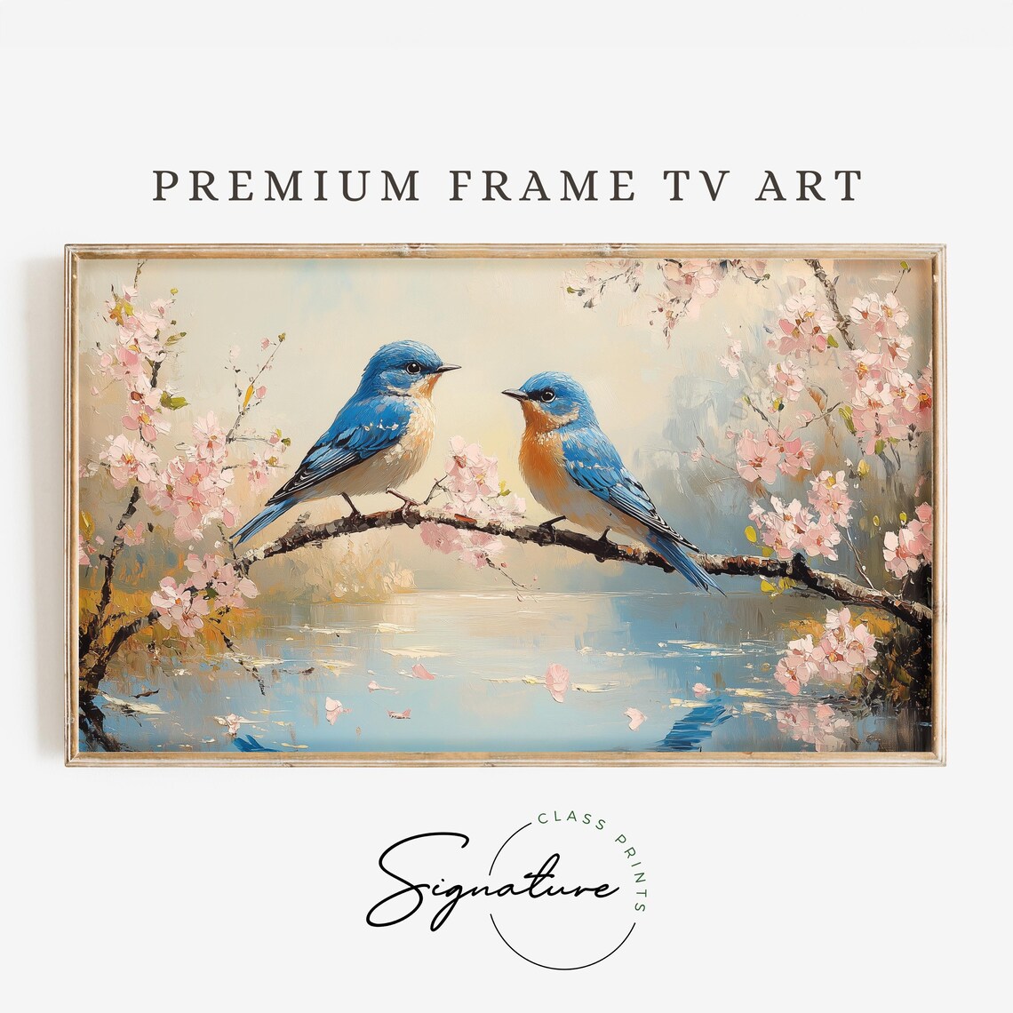 Bluebirds Pair Cherry Blossom Branch Spring Birds Pink Flowers Water Poster