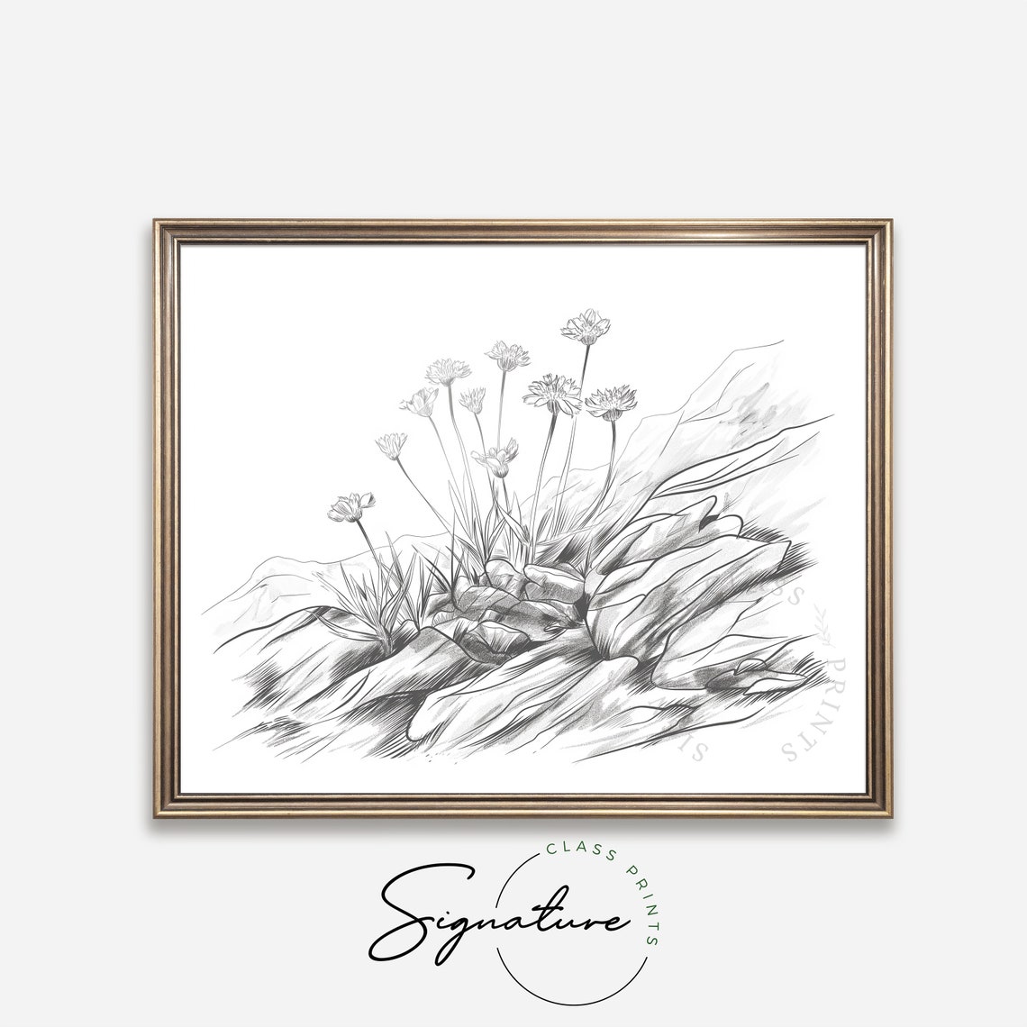 Wildflowers Among Rocks Pencil Sketch Minimalist Botanical Poster - Image 4