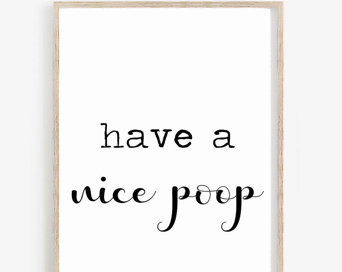 Have A Nice Poop Funny Bathroom Humor Script Quote Decor Poster