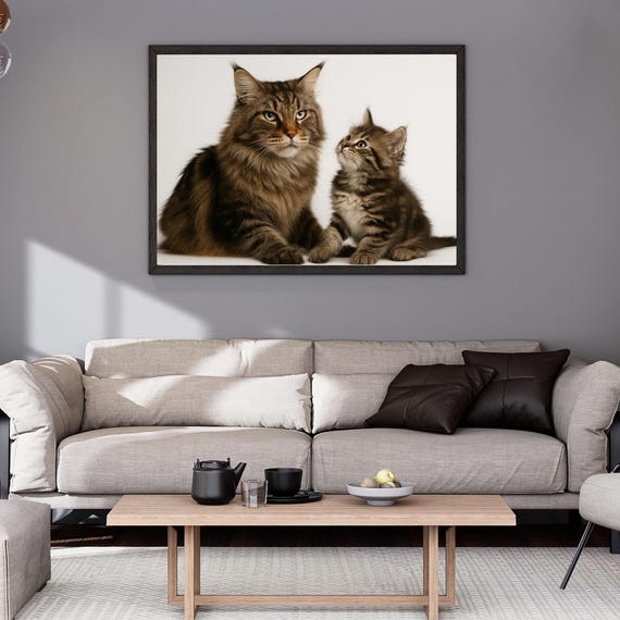 Maine Coon Cat Photography Cute Wall Art Kitten Portrait Pet Poster Kids Room Nursery Decor Mom Gift