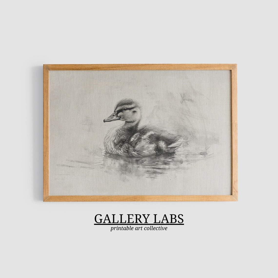 Vintage Duckling Pencil Sketch Waterfowl Neutral Nursery Wall Art Print - Image 3