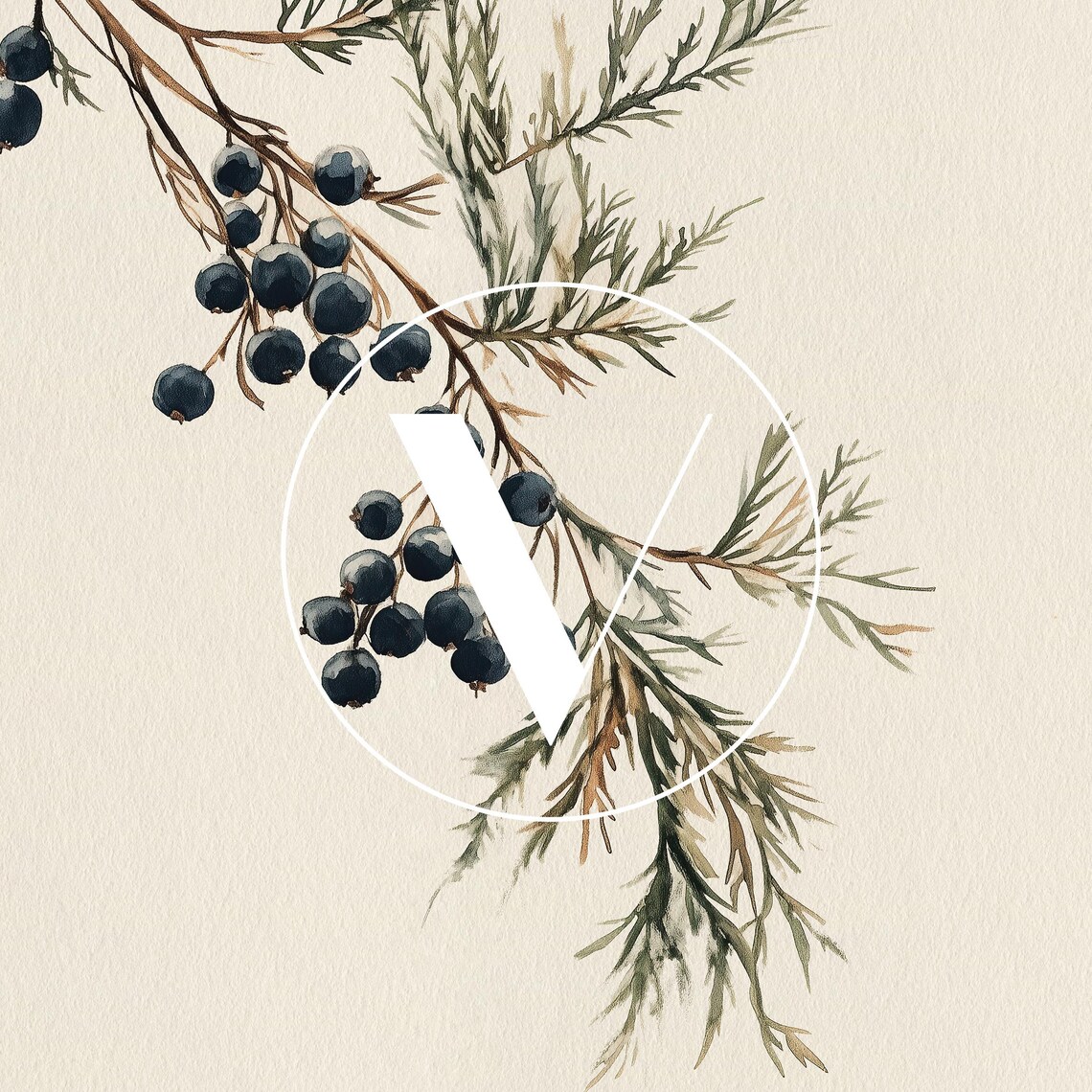Winter Juniper Berries Christmas Art Print - Image 3