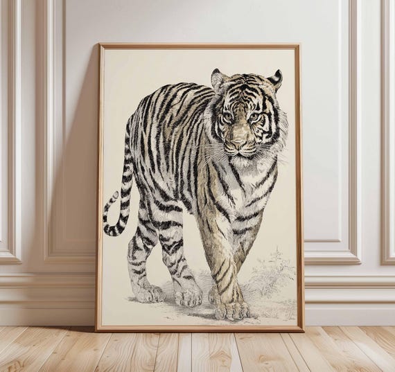 Tiger Poster Wildlife Wall Art Realistic Big Cat Print Nature Animal Illustration Jungle Safari Home Decor