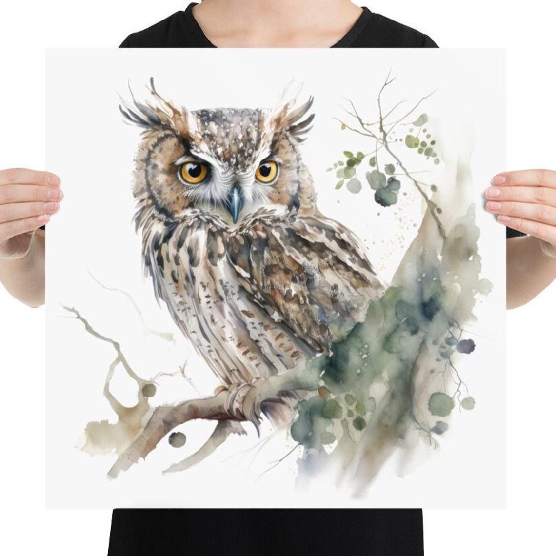 Long Eared Owl Watercolor Perched Branch Botanical Bird Poster