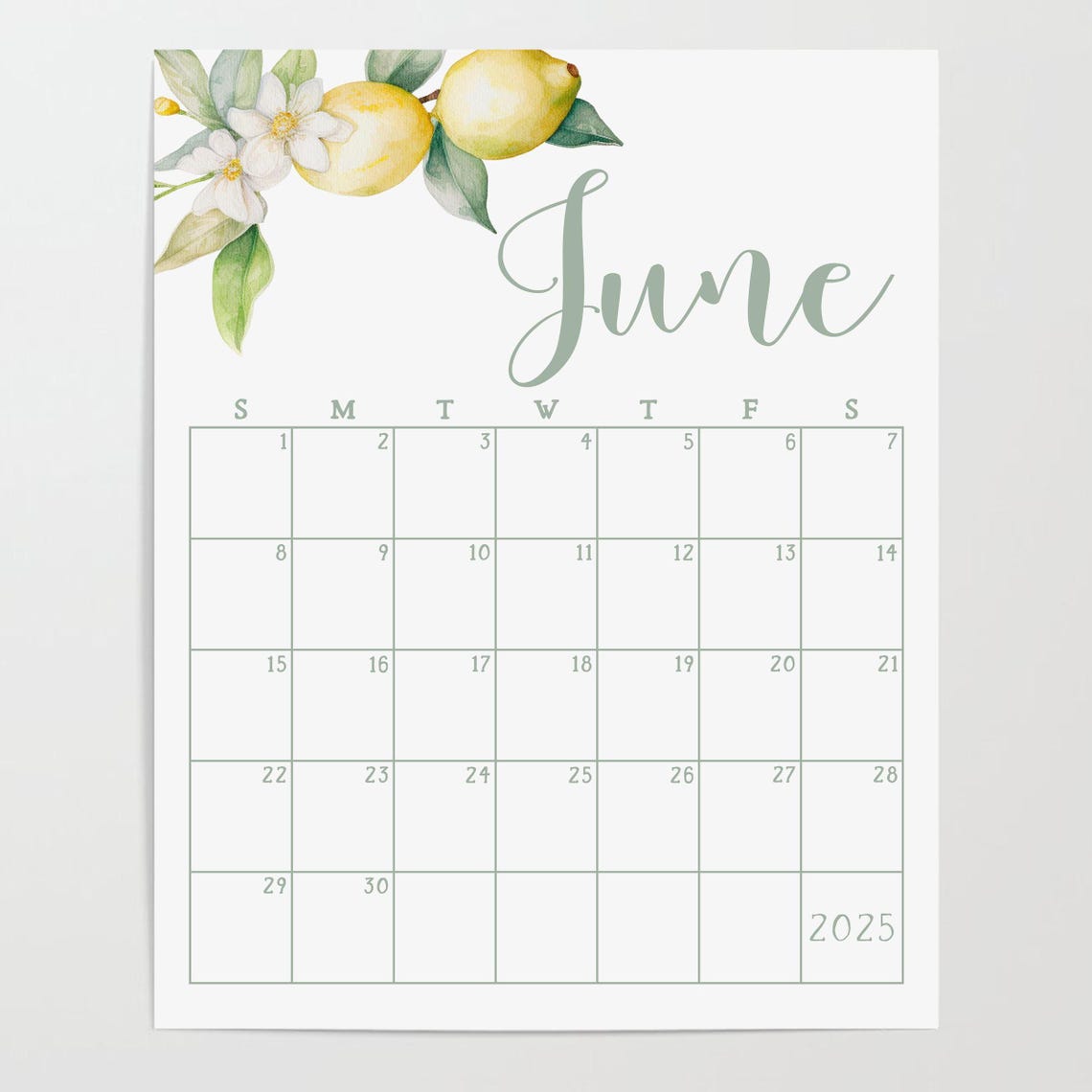 June 2025 Calendar Lemon Watercolor Summer Monthly Planner Wall Art - Image 4