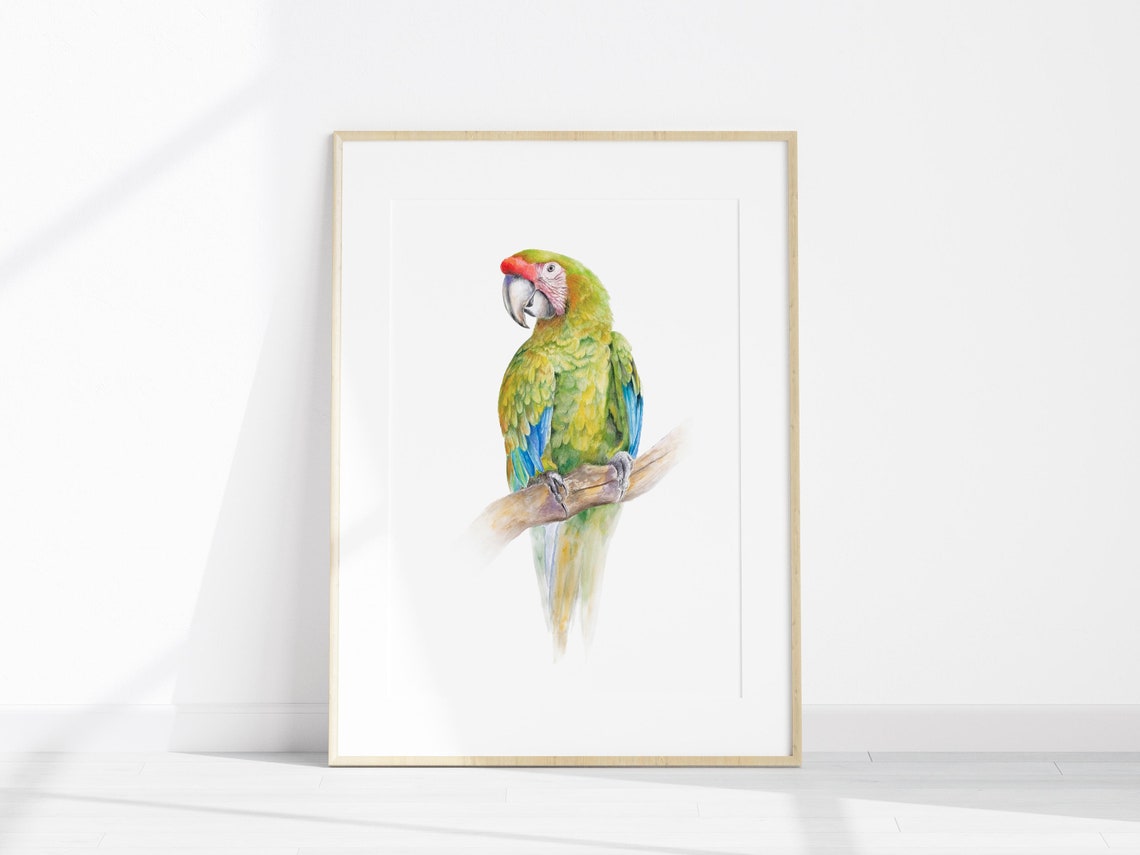 Green Macaw Parrot Watercolor Perched on a Wooden Branch Wall Art - Image 2