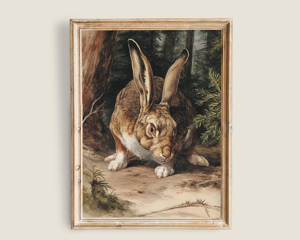 Brown Hare Forest Clearing Vintage Wildlife Illustration Wall Art Poster