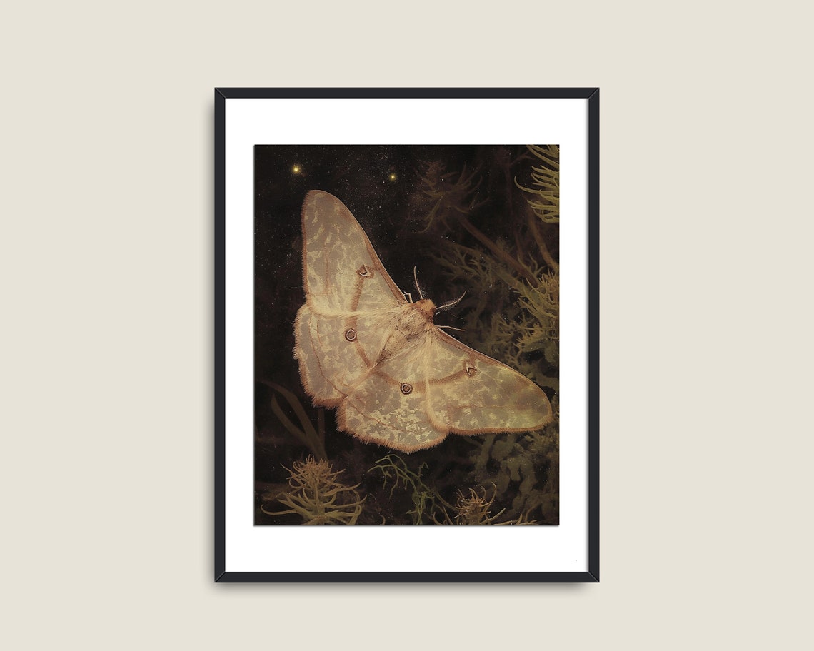 Giant Pale Moth On Dark Foliage Night Insect Study Gothic Art Print - Image 2