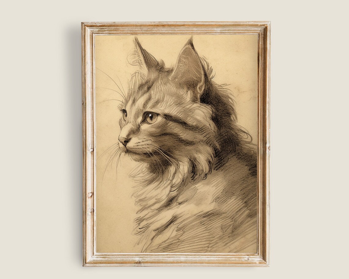 Vintage Cat Sketch Prints, Farmhouse Animal Art