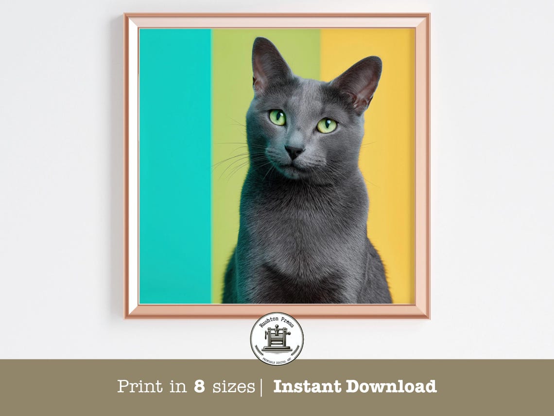 Russian Blue Cat Pop Art Portrait Bold Colorful Modern Pet Poster