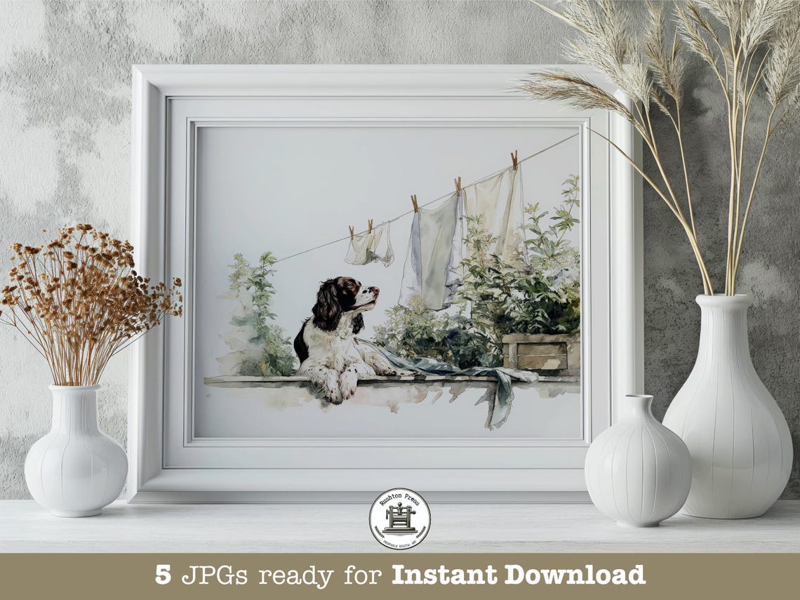 Springer Spaniel Laundry Line Watercolor Farmhouse Dog Poster