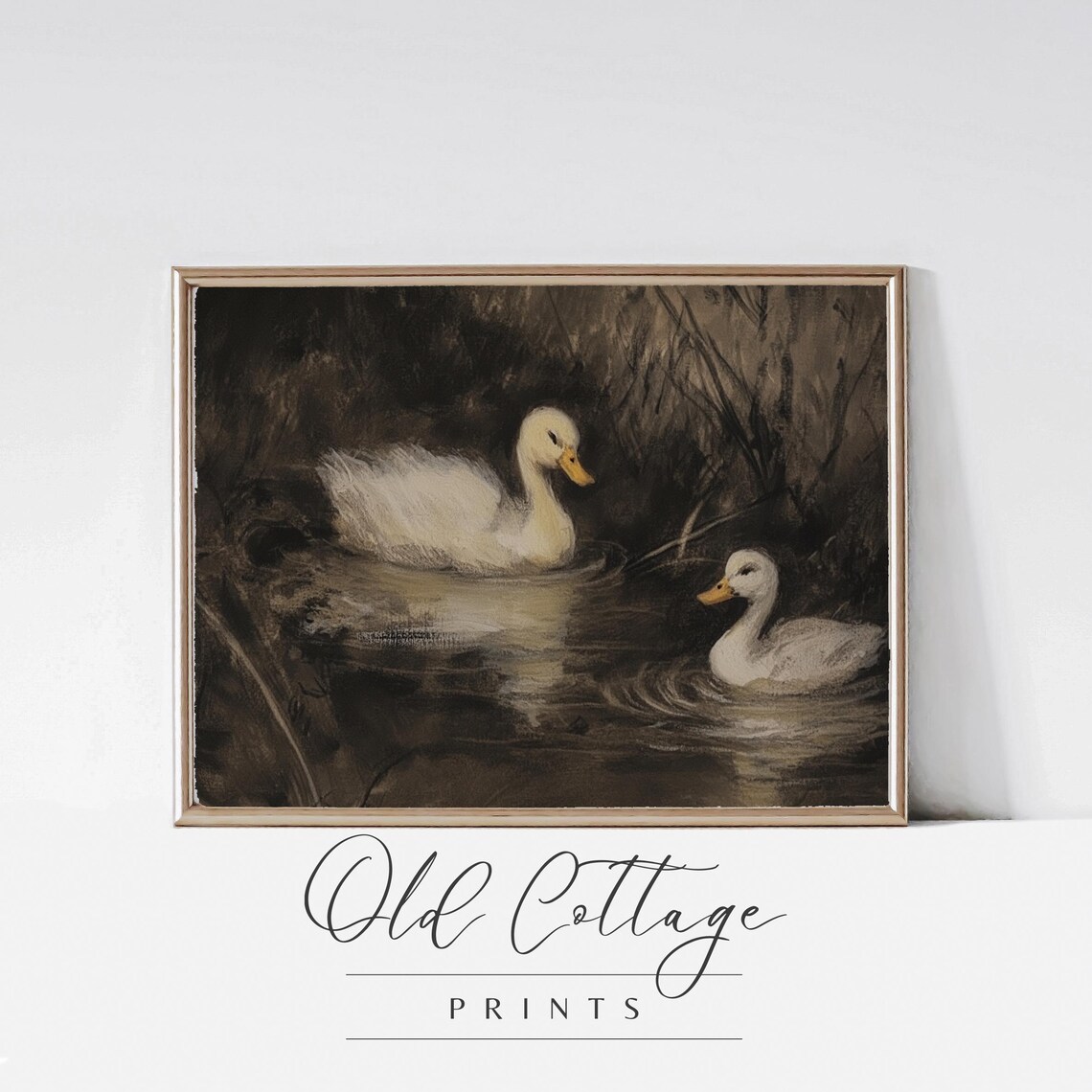 Two White Ducks Swimming In A Moody Dark Evening Pond Painting Poster