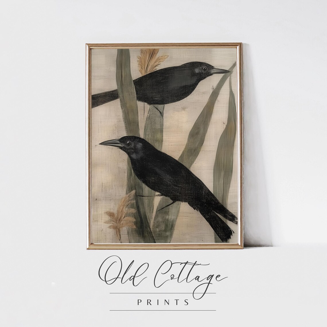 Two Blackbirds Among Tall Reeds Vintage Bird Illustration Art Print