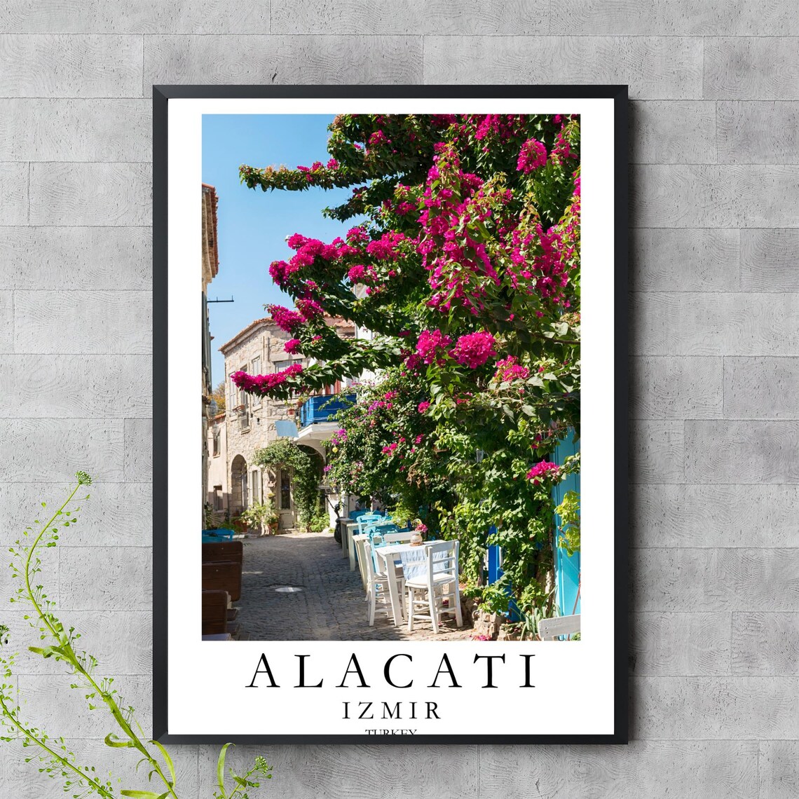 Alacati Izmir Turkey Bougainvillea Street Photography Travel Poster