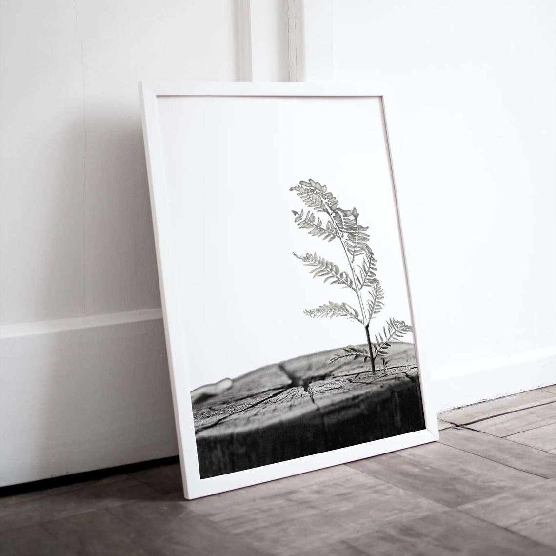 Fern Sprouting from Tree Stump Black and White Nature Poster - Image 4