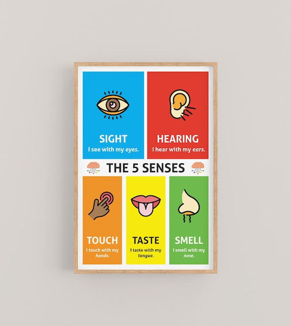 The 5 Senses Sight Hearing Touch Taste Smell Kids Learning Poster