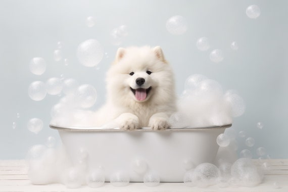Samoyed Pup In The Bathtub Cute Dog Photograph Samoyed In Bubble Bath Funny Animal Prints Funny Bathroom Wall Art Ai Art