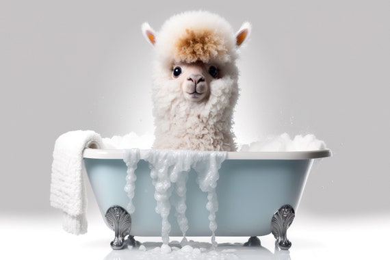 Cute Baby Alpaca In The Bathtub Funny Animal Print