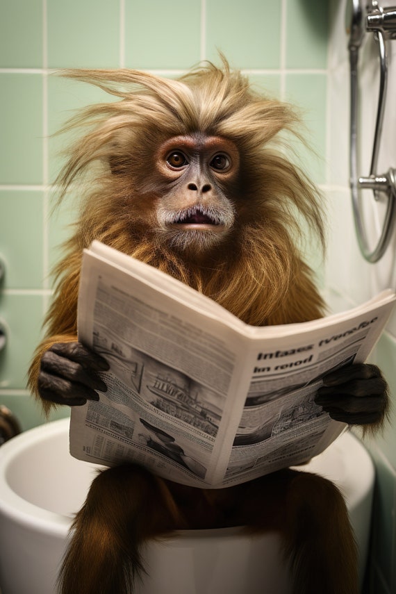 Tamarin Monkey Sitting On The Toilet Reading A Newspaper Funny Bathroom Wall Art Funny Monkey Print Animal Photo Ai Art