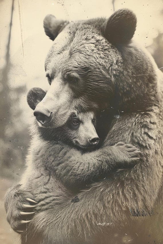 Mom Baby Bear Cute Animal Wall Art Nursery Room Prints Cute Vintage Style Animal Photo Bedroom Decor Mommy And Me Ai Art