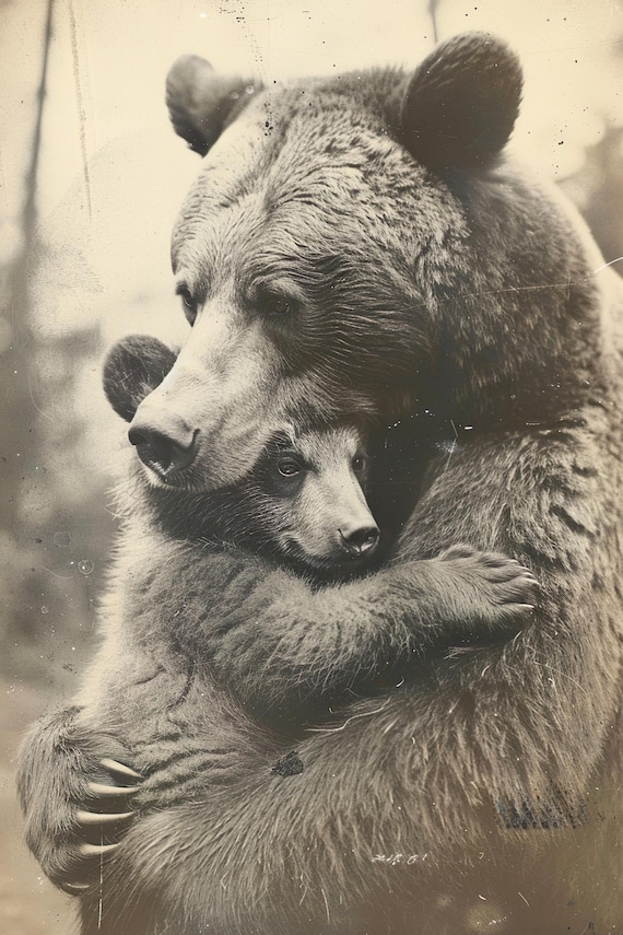 Mother Bear Cub Sweet Tender Hug Vintage Sepia Nursery Wall Art