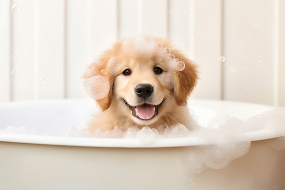 Golden Retriever Pup In The Bathtub Cute Dog Photograph Bubble Bath Funny Animal Prints Funny Bathroom Wall Art Ai Art