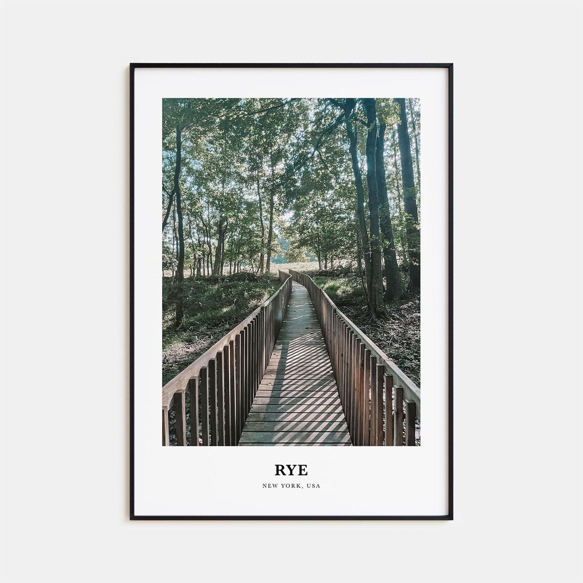 Rye New York Wooden Boardwalk Forest Trail Nature Travel Photo Poster