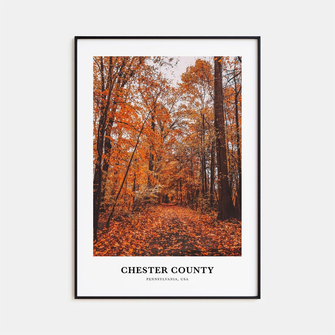 Chester County Pennsylvania USA Autumn Forest Path Photo Poster