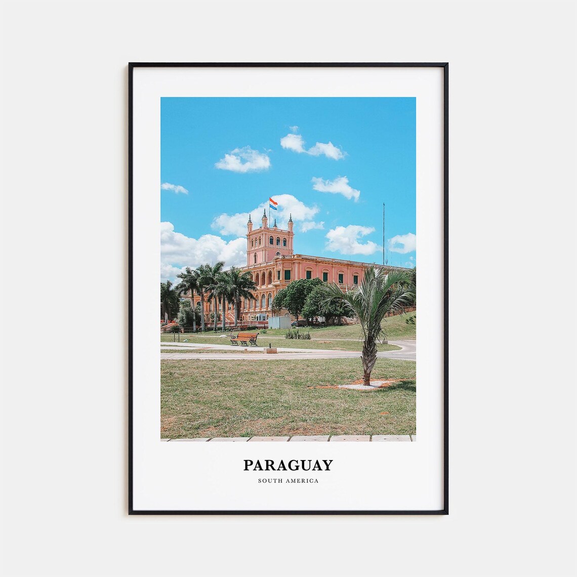 Paraguay South America Historic Pink Palace in Asuncion Poster
