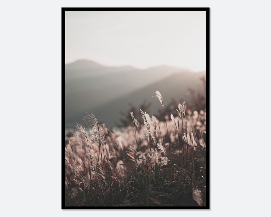 Pampas Grass Meadow at Sunrise With Distant Mountains Poster