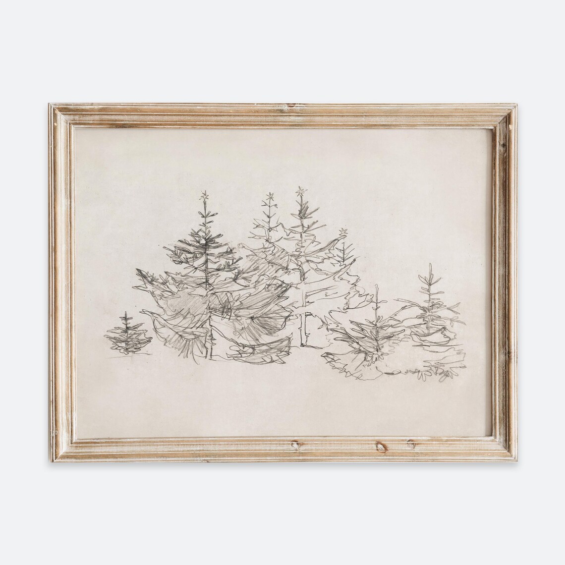 Vintage European Christmas Fir Tree Forest Sketch Poster