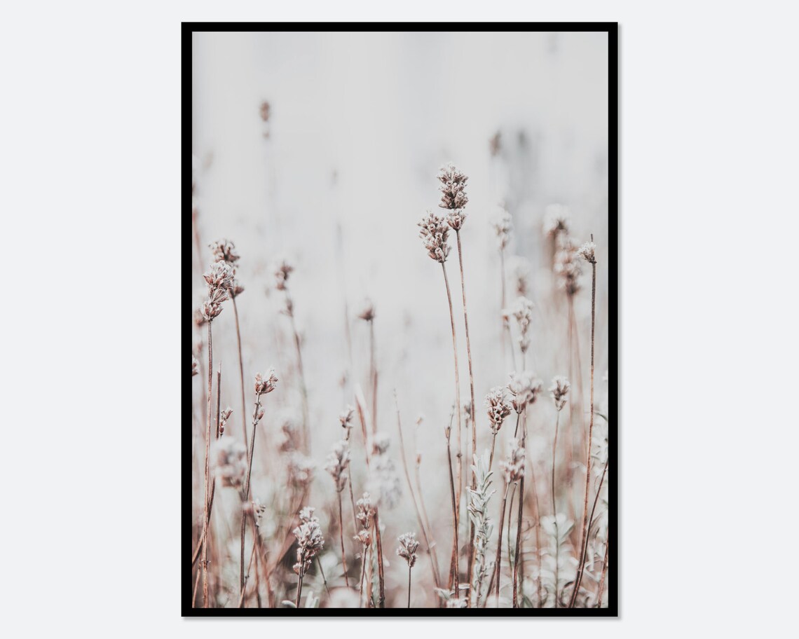 Reed Plant Photography Art Print, Botanical Farmhouse